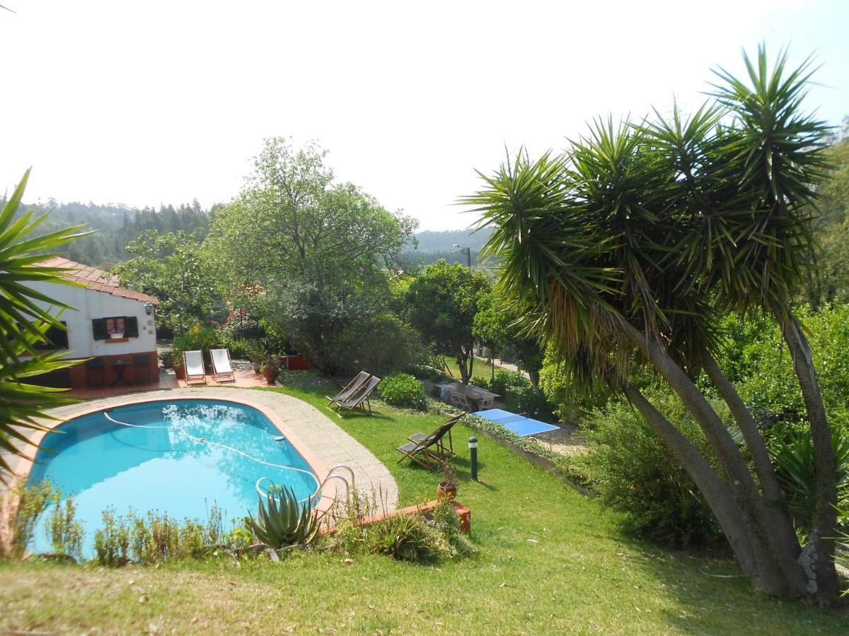 Casa Da Avo - Vale Da Silva Villas Albergaria-a-Velha Ngoại thất bức ảnh