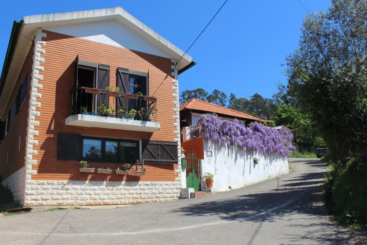 Casa Da Avo - Vale Da Silva Villas Albergaria-a-Velha Ngoại thất bức ảnh